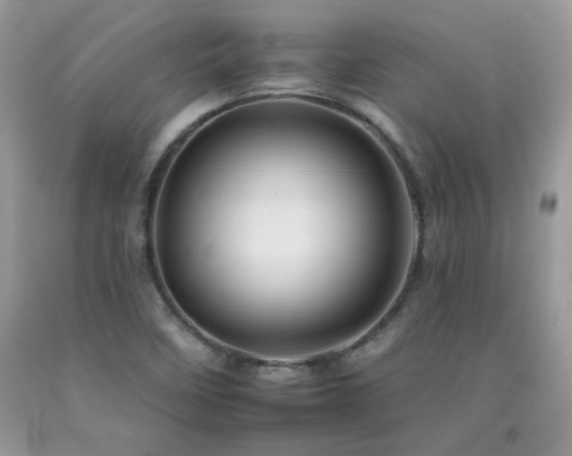 X0000092261458200709141159