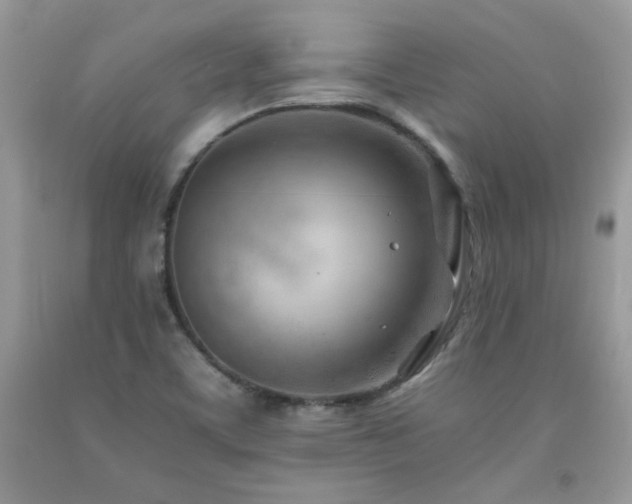X0000092261459200709141159