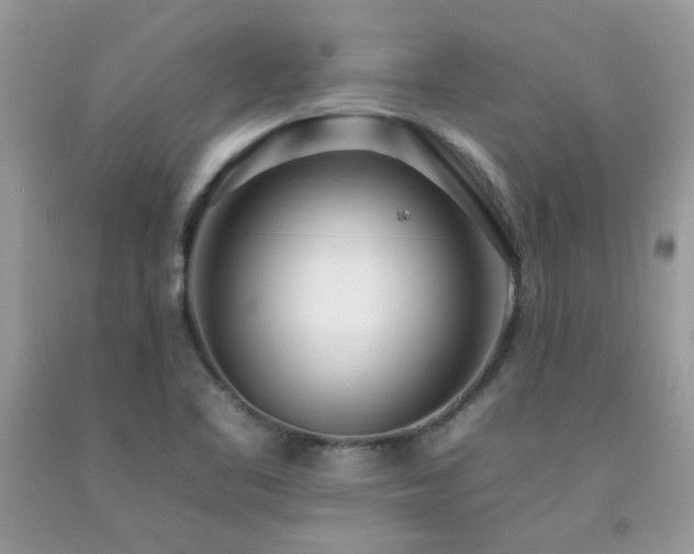X0000092261461200709141159