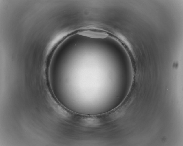 X0000092261464200709141159