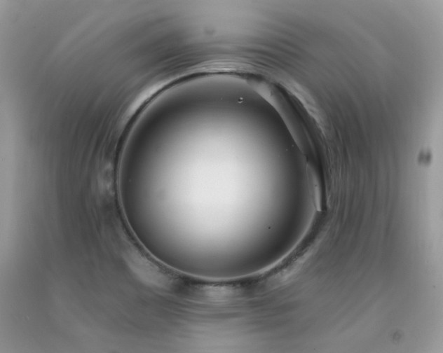 X0000092261465200709141159