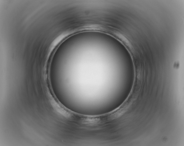 X0000092261466200709141159