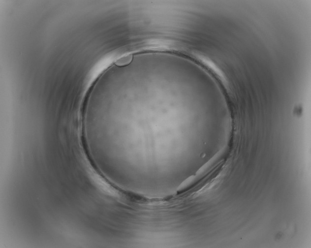 X0000092261467200709141159