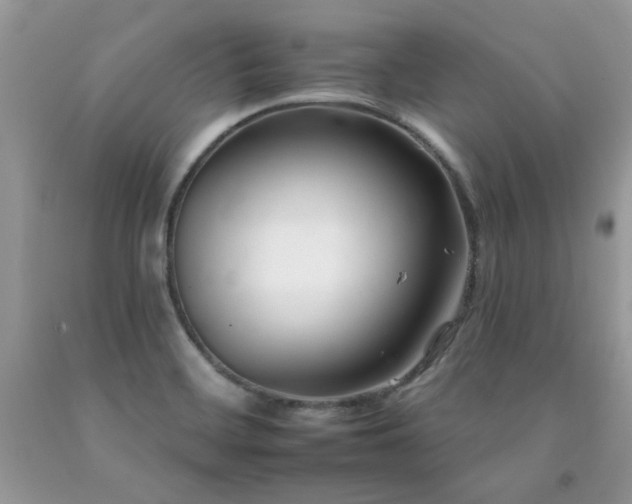 X0000092261468200709141159