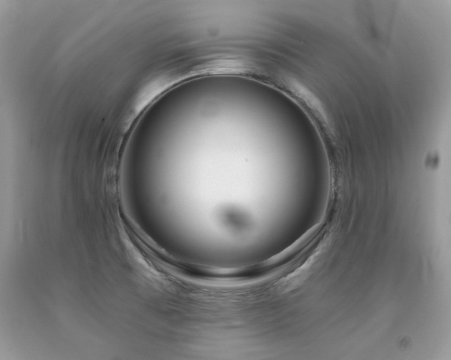 X0000092261473200709141158