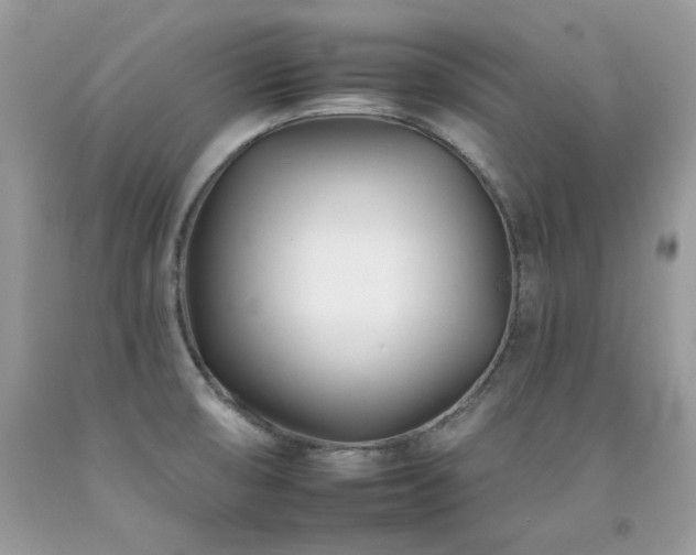 X0000092261474200709141158