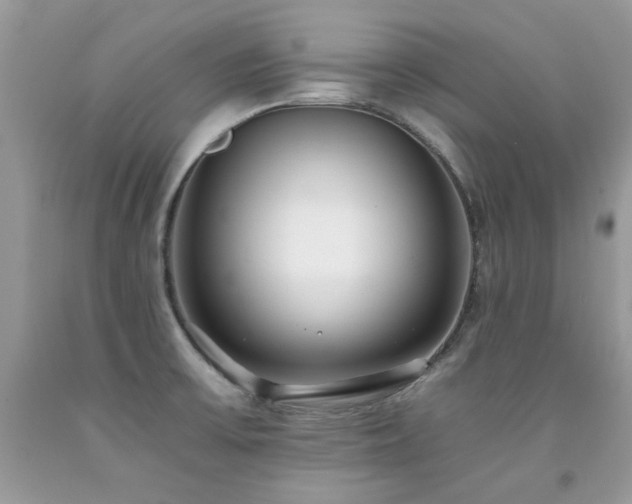 X0000092261475200709141158
