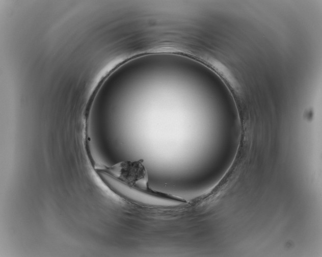 X0000092261476200709141158