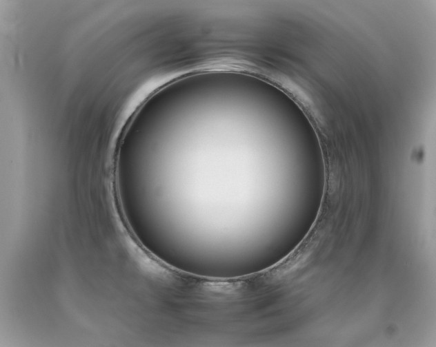 X0000092261478200709141158