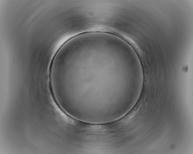 X0000092261479200709141158