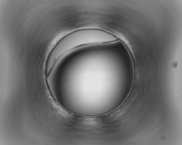 X0000092261480200709141158