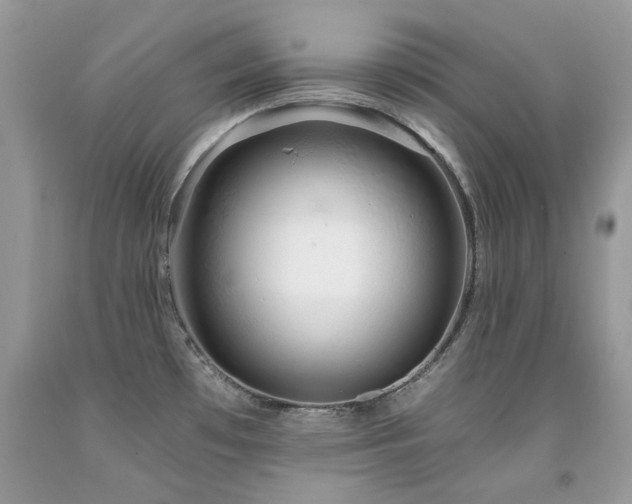 X0000092261481200709141158