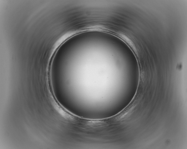 X0000092261482200709141158