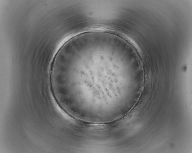 X0000092261483200709141158