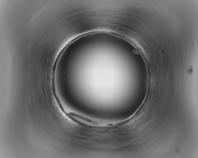X0000092261484200709141158