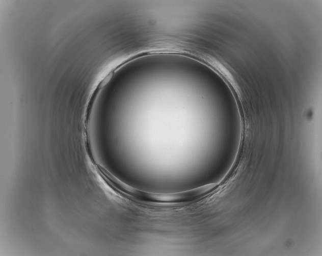 X0000092261485200709141158