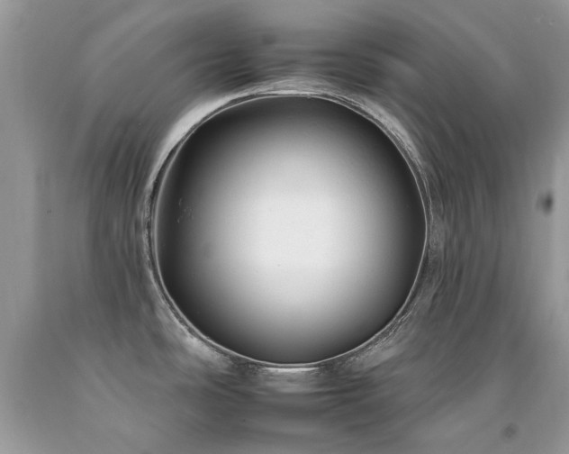 X0000092261486200709141158