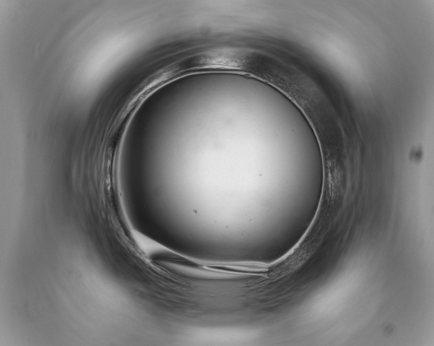 X0000092261487200709141158