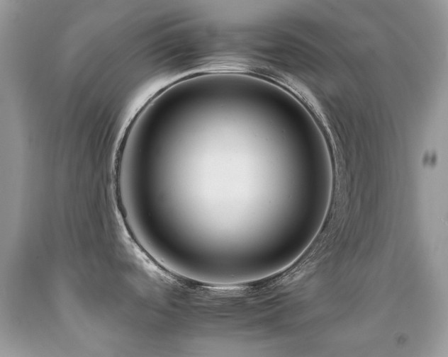 X0000092261488200709141158