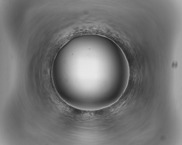 X0000092261489200709141157