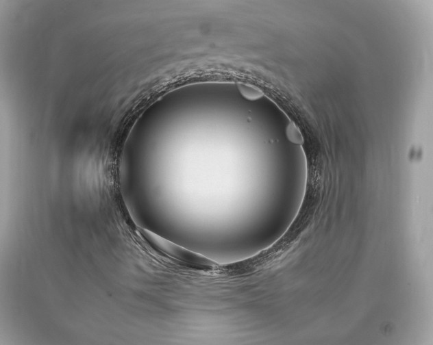 X0000092261490200709141158