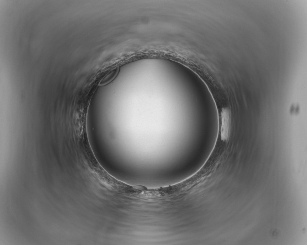 X0000092261491200709141158
