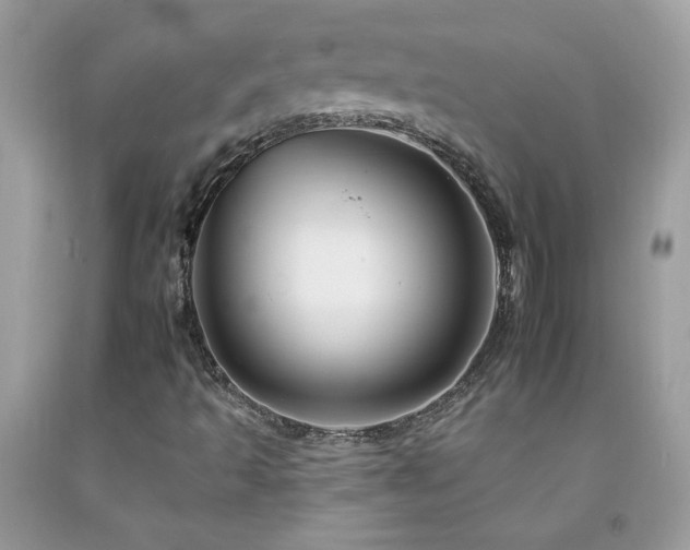 X0000092261493200709141158