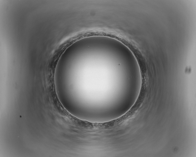 X0000092261494200709141158