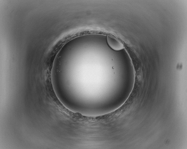 X0000092261495200709141158