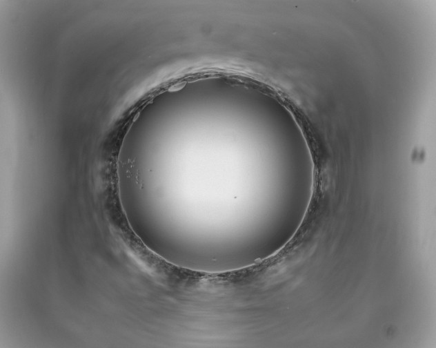 X0000092261496200709141158