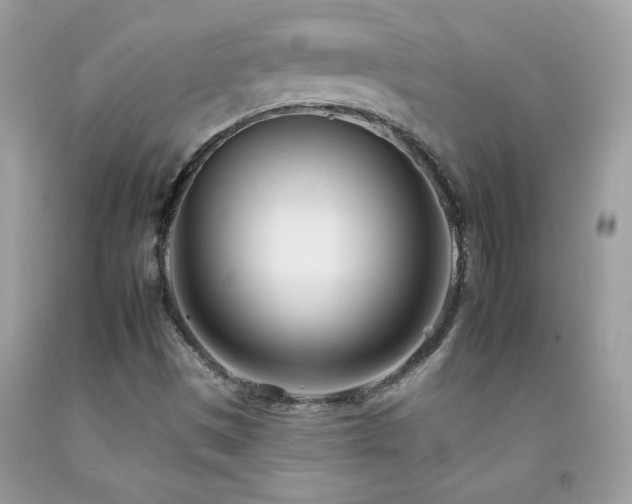 X0000092261497200709141158