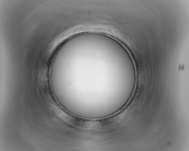 X0000092261498200709141158