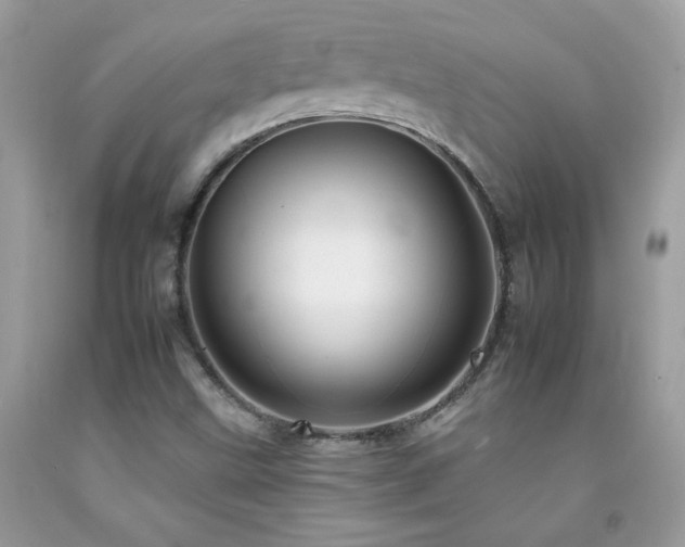 X0000092261499200709141158