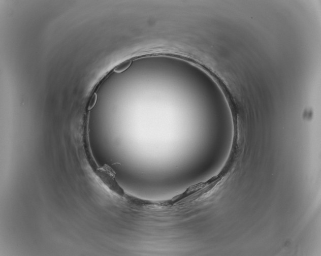 X0000092261500200709141158