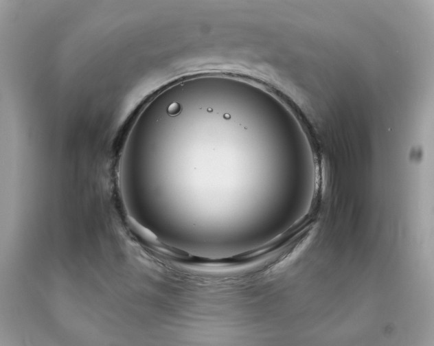 X0000092261501200709141158