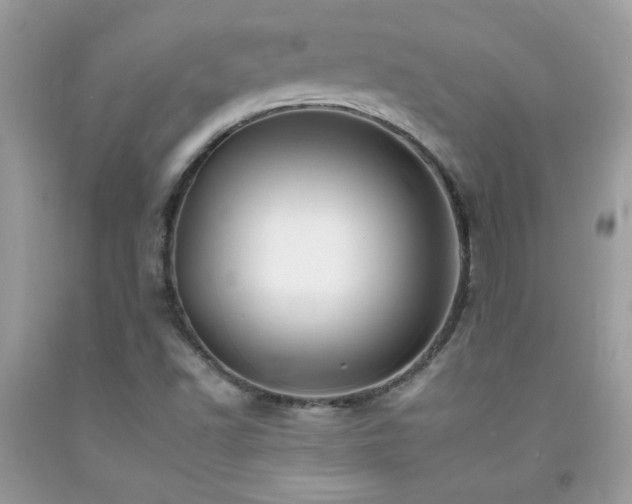X0000092261502200709141158