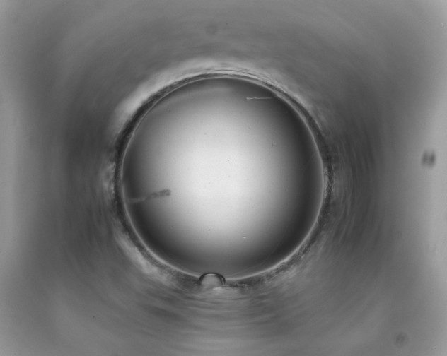 X0000092261503200709141158