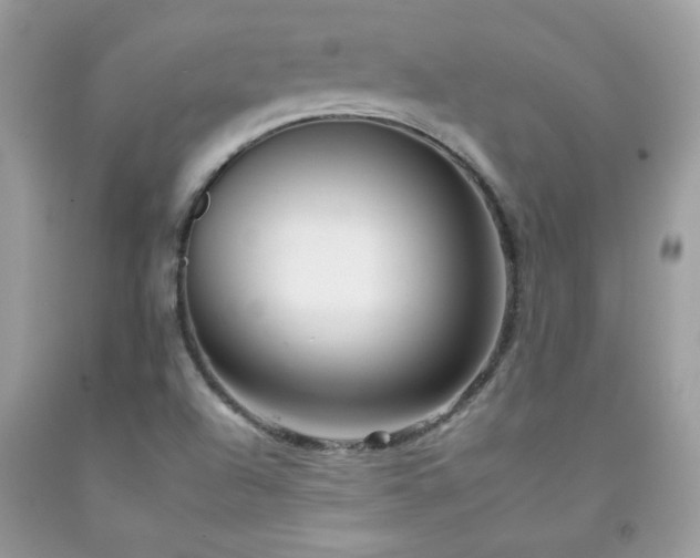 X0000092261504200709141158