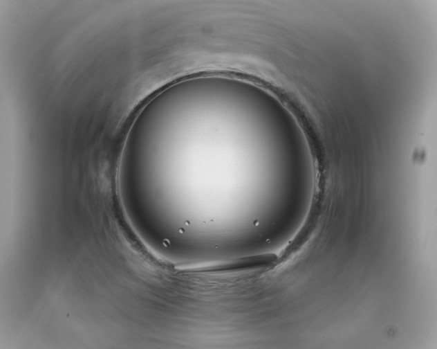 X0000092261505200709141158