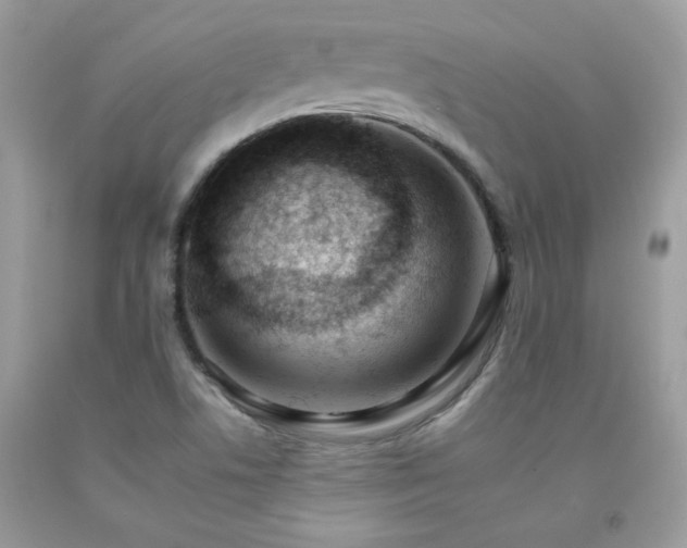 X0000092261506200709141158