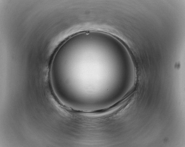 X0000092261507200709141158