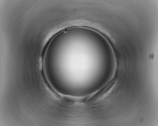 X0000092261509200709141158