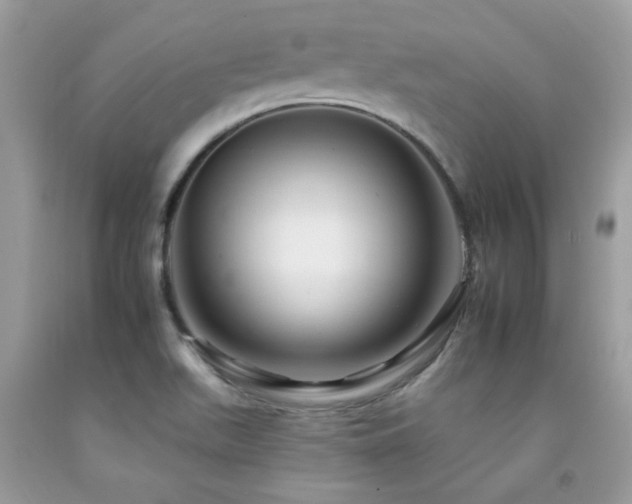 X0000092261511200709141158