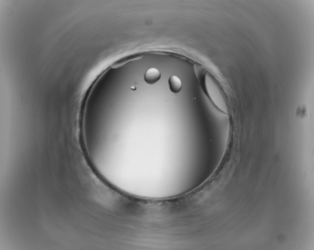X0000092261512200709141158