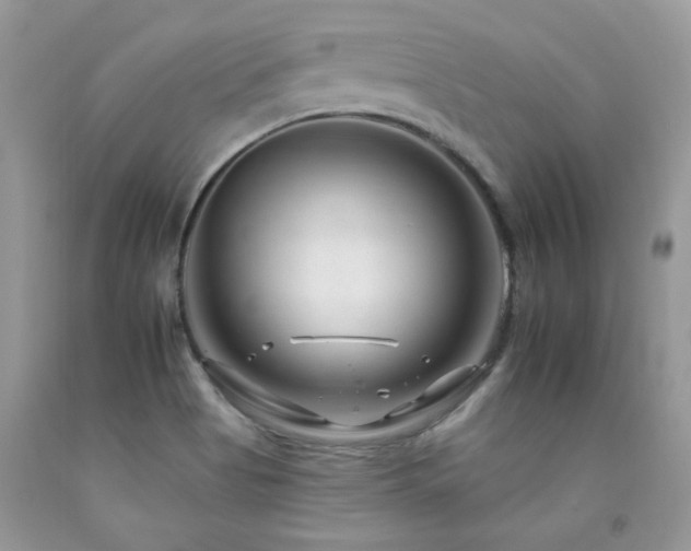 X0000092261513200709141158