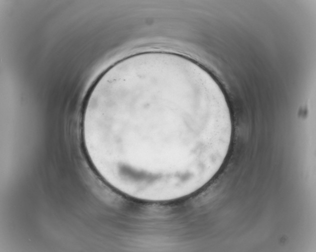 X0000092261514200709141158