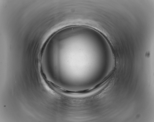 X0000092261515200709141158