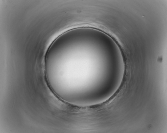 X0000092261516200709141158