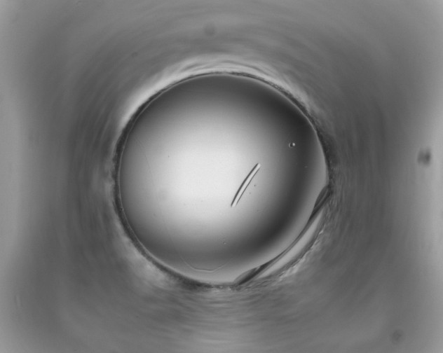 X0000092261518200709141158