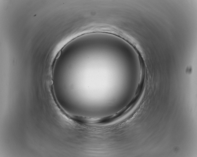 X0000092261520200709141158